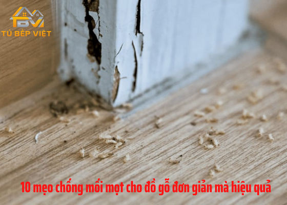 Mẹo chống trị mối mọt cho đồ nội thất gỗ hiệu quả nhất